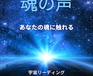 宇宙語×霊感でペットの気持ちをお伝えします 不安・体調・あなたへの思いをやさしくチャネリング イメージ5