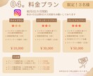あなたのSNS運用をサポートします 画像制作〜運用まるごとおまかせまで最適なプランをご提案!! イメージ6