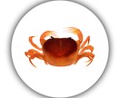 実在「魚」専門★透明感ある実写風アイコン描きます 生き物好きさん、釣り好きさん必見！唯一無二のお魚アイコン イメージ3