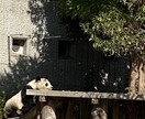 現役歯科医師が歯の相談に乗ります 文章だと説明しにくい、審美的な事などご相談ください。 イメージ1