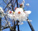 アフィリエイト始め方教えます 初心者の方にアフィリエイトの始め方をお教えします。 イメージ1