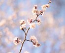 今すぐ電話で♡おしゃべりできます 元気おすそわけ！エネルギーチャージしませんか♡ イメージ6