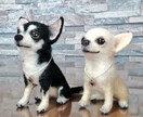 羊毛フェルト教えます 羊毛フェルトのプロのコツをお教えいたします。 イメージ4