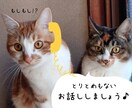 些細な事でOK！人恋しい時のお話し相手になります 日々の出来事　日頃の愚痴　何でもいいよ～！ イメージ1