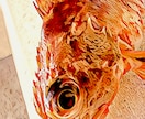 釣った魚の写真から水彩画風のデジタル魚拓を作ります お部屋に飾れる絵画のようなデジタル魚拓を作ります！ イメージ5
