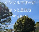 シングルマザー限定⭐︎癒しのカードセラピーします 毎日もう限界!わかってほしい!頑張るあなたの心の拠り所に♪ イメージ5