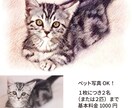 写真を温もりある手描き風の鉛筆スケッチにします ペット・人物・風景・建物対応｜やさしい手描き風タッチ イメージ5