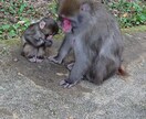 愚痴や悩み事等聞きます 相談したくても誰も相談する人がいない方にお薦めします。 イメージ6