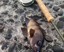 フライ 毛針の巻き方教えます 経験則で対象魚別のフライパターンの提案 イメージ6