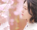 日時限定3月28、29日 桜ロケ撮影 撮ります 先着順・各時間1組限定｜東京春ロケ／家族・ポートレート対応 イメージ4