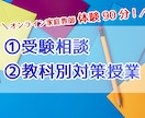 体験（90分）・京大卒がオンライン家庭教師をします 塾講師歴6年・英語数学物理化学の基礎から応用まで丁寧に解説 イメージ1