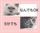HSP専門カウンセラーがあなたの愚痴を聞きます 自己肯定感/悩み/人間関係/自分軸/周りに振り回される イメージ2