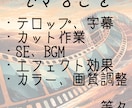 ロープライス、ハイクオリティな動画編集承ります 動画編集に関してハイクオリティな作品として仕上げます。 イメージ5