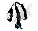 リアルで可愛いお魚イラスト描きます アイコンやプレゼントマグカップなどの印刷用にいかがでしょうか イメージ4