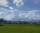 夏を感じるそんな写真をお届けします 生きた夏、生かされた夏。どうか、ひと夏を大切に生きる日々に。 イメージ3