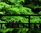 離婚のタイミングやその後の未来を四柱推命で占います 離婚後の生活・お金・子育て・今後の流れを具体的に視ます。 イメージ8