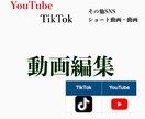 動画編集をします ショート・動画をお作りします。 イメージ1