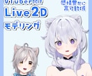 表情豊かに可愛く動くVTuberモデル作ります VTubeStudio向けLive2Dモデルの制作いたします イメージ1