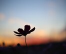 なんでも聴きます 誰にも言えないこと共感してほしいことありませんか？ イメージ1