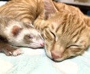考え方次第で日常の幸せは得られます 人生死ぬまでの暇つぶし。暇つぶしを充実させましょう！ イメージ1