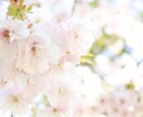 商品の魅力を引き出すお写真撮影します 花や植物、ハンドメイド、化粧品等SNS宣伝用商品撮影承ります イメージ7