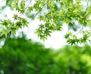 夏休みのチャット相談★電話できない方に寄り添います 家族がいて電話できない夏休みに★文字で寄り添い心を整えます イメージ2