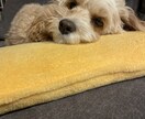 現役介護福祉士がお悩みをお聴きします 少しでも心が軽くなるお手伝いをさせてください♪ イメージ1