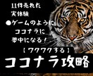 美容師店長が初心者も売れるココナラ販売戦略教えます 【ビデオコンサル】【30日サポート】で攻略のコツや売り方伝授 イメージ1