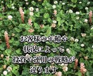 NISA  確定拠出年金　iDeCo相談乗ります 経験に基づいてお客様ごとの資産形成のアドバイスします イメージ3