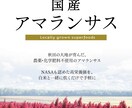 目を引くチラシを作成いたします 洗練されたデザイン、インバウンド向けにも対応 イメージ4