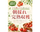 売れる売場作りをサポートします 届いたその日から売場で使える販促セットをお届けします。 イメージ4