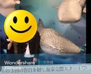 心に残る！結婚式プロフィールムービーを制作します 動画編集実績多数！動画制作はおまかせください！ イメージ9
