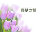 貢献の種。画像をDLしていただけます 貢献の種。画像をDLいただけます。 イメージ1