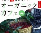 Instagram画像、プロが制作します 写真だけじゃ勿体ない！『伝わる広告』『世界観』を明確に。 イメージ5