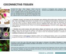 英語⇆日本語翻訳します スピーディーに丁寧に、ビジネス・一般英語⇆日本語翻訳します！ イメージ3