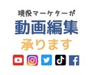 YouTubeなどのSNS向け動画の編集します 現役マーケター兼YouTube経験者が動画編集行います イメージ1