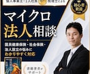 初心者歓迎！マイクロ法人専門税理士が相談にのります マイクロ法人で国保削減の相談だけで500件！何でも回答します イメージ1