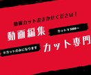 動画編集カット承ります ジェットカット、荒カット、丁寧カット イメージ1