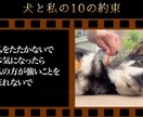 想いを形に、愛するペットのメモリアル動画ます 心に響く、優しい映像をお届け！！！ イメージ1
