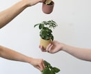 魂の使命と生まれ持つ才能を霊視で丁寧に鑑定します 本来の強み・生きるテーマ・才能の活かし方を七項目で鑑定 イメージ5