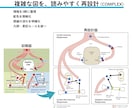 研究図・論文図・サイエンスイラストを作成します 医学・科学の模式図、シェーマ、学会用図版にも対応 イメージ6