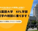 韓国外国語大学KFL学部　正規留学の相談に乗ります 現役の外大KFL学部生があなたの質問にお答えします！ イメージ1