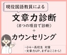 文章力診断｜8つの観点から強みと課題を整理します 小中高のお子様の文章力UPに！　30分のカウンセリングつき イメージ1