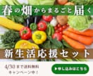 魅力がしっかり伝わるバナーを作成します 【おしゃれで目を引くデザインを探している方】 イメージ4