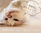 HSPさんの悩み相談をやさしくお聴きします 2000人の繊細さんと会ったHSP交流会主催者が寄り添います イメージ4