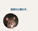 安売りせず、価値で選ばれるLP制作します 商品の魅力と背景を整理し、申込みにつながるLPへ イメージ3