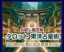 プチ鑑定★手軽にご相手の気持ちをサクッと占います 気になることだけ聞きたい!そんなあなたにピッタリの占いです イメージ1