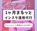 1ヶ月間インスタの運用代行を行います 集客実績あり！画像制作込み価格です！ イメージ1