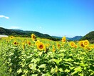 やさしく寄り添いあなただけの安心時間を作ります 自分のことが好きになれるそんな対話を心掛けています。 イメージ2