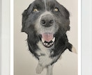 ペットの似顔絵を写真のようにリアルに描きます 犬、猫、うさぎなど動物の肖像画を手描きでリアルに描きます イメージ3